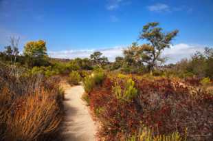 Eastern San Elijo Lagoon trail-0033.jpg